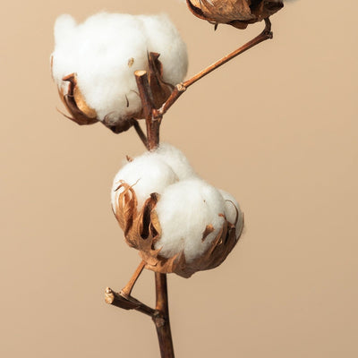 Comforter Cotton