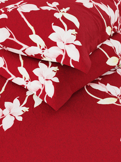 Extra Smooth Micro Double Bedsheet With 2 Pillow Covers <small> (floral-red)</small>