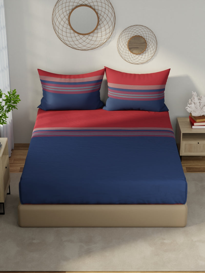 NAUTICA 100% Premium Cotton King Bedsheet With 2 Pillow Covers