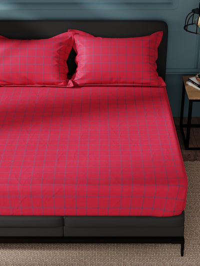 Super Soft 100% Cotton King Bedsheet And 2 Pillow Covers <small> (stripe-blue/red)</small>