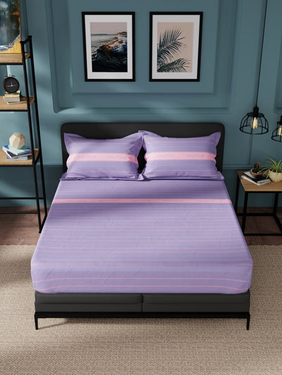 Super Soft 100% Cotton King Bedsheet And 2 Pillow Covers <small> (stripe-lilac)</small>