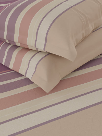 100% Premium Cotton Fitted King Bedsheet With Elastic Corners With 2 Pillow Covers <small> (stripe-beige/wine)</small>