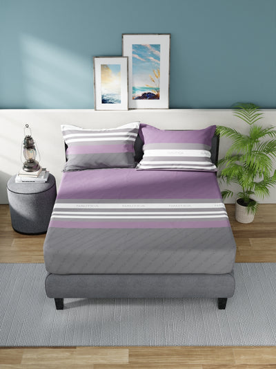 Super Soft 100% Cotton King Bedsheet With 2 Pillow Covers <small> (stripe-wine/iron)</small>