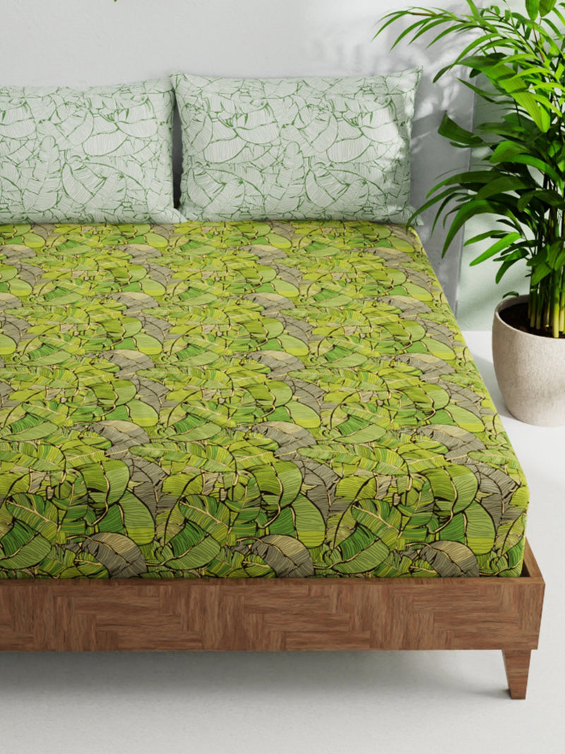 Soft 100% Natural Cotton Double Bedsheet With 2 Pillow Covers <small> (floral-green/multi)</small>