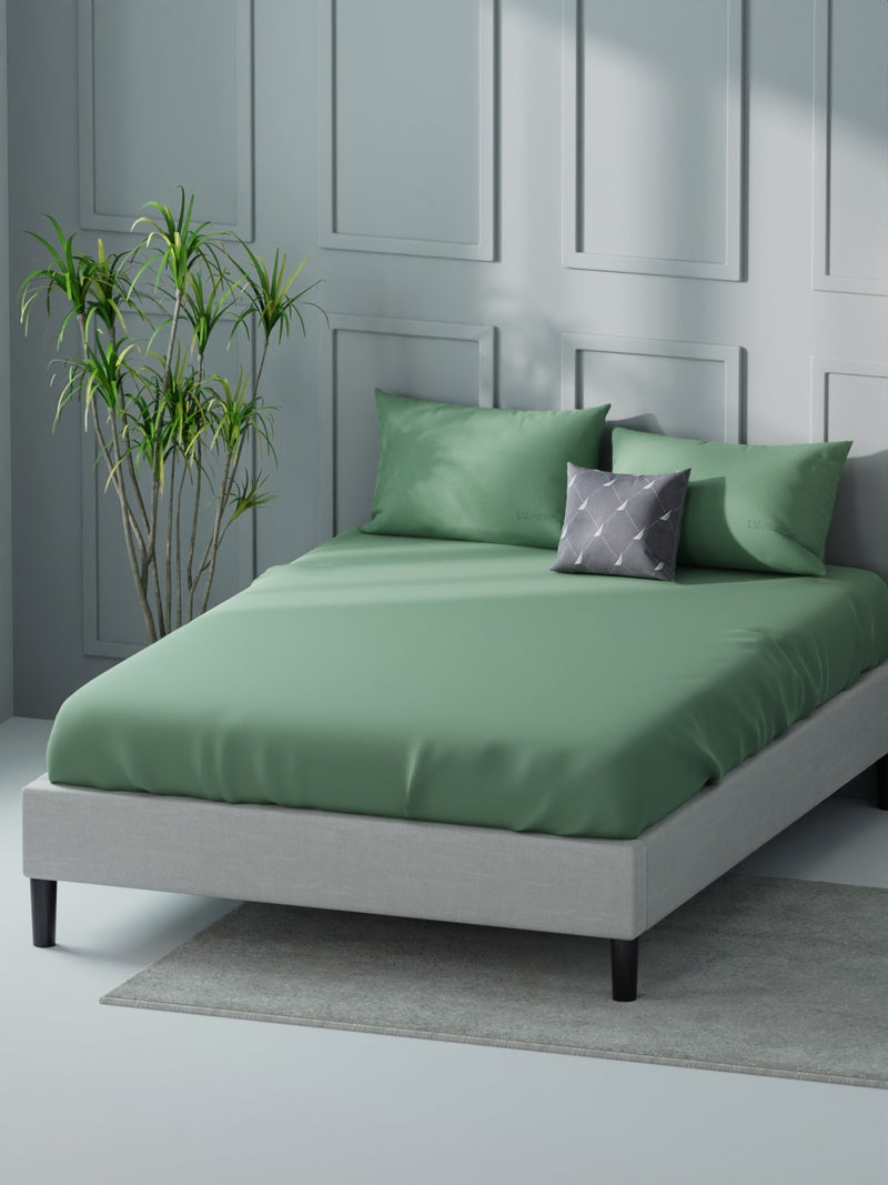 Super Soft 100% Cotton Xl King Size Bedsheet With 2 Pillow Covers <small> (solid-aquagreen)</small>