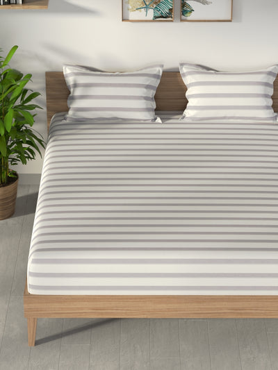 100% Premium Cotton <small> (stripe-amethyest)</small>