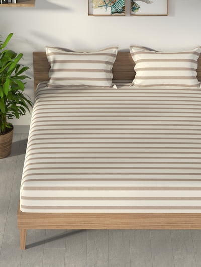 100% Premium Cotton <small> (stripe-brown)</small>