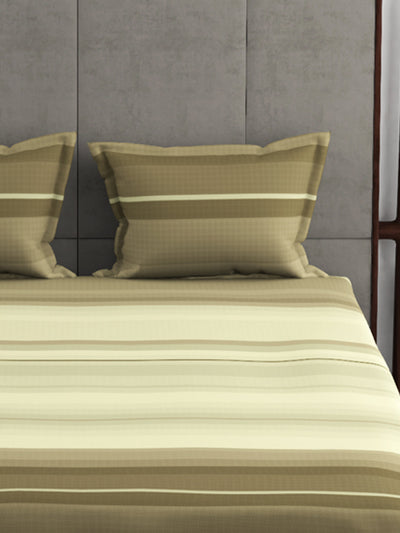 226_Callista Super Soft 100% Cotton Xl King Size Bedsheet With 2 Pillow Covers_BED2675A_4